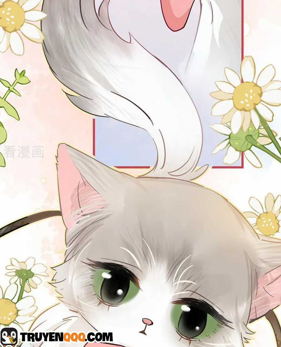 Sau Khi Công Chúa Bội Tình Bạc Nghĩa Chapter 48 trang 34