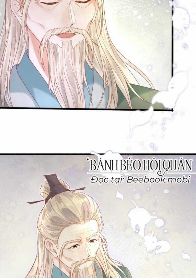 Sau Khi Không Ngừng Tìm Đường Chết, Ta Trở Thành Đế Tôn Vạn Người Mê Chapter 17 trang 3