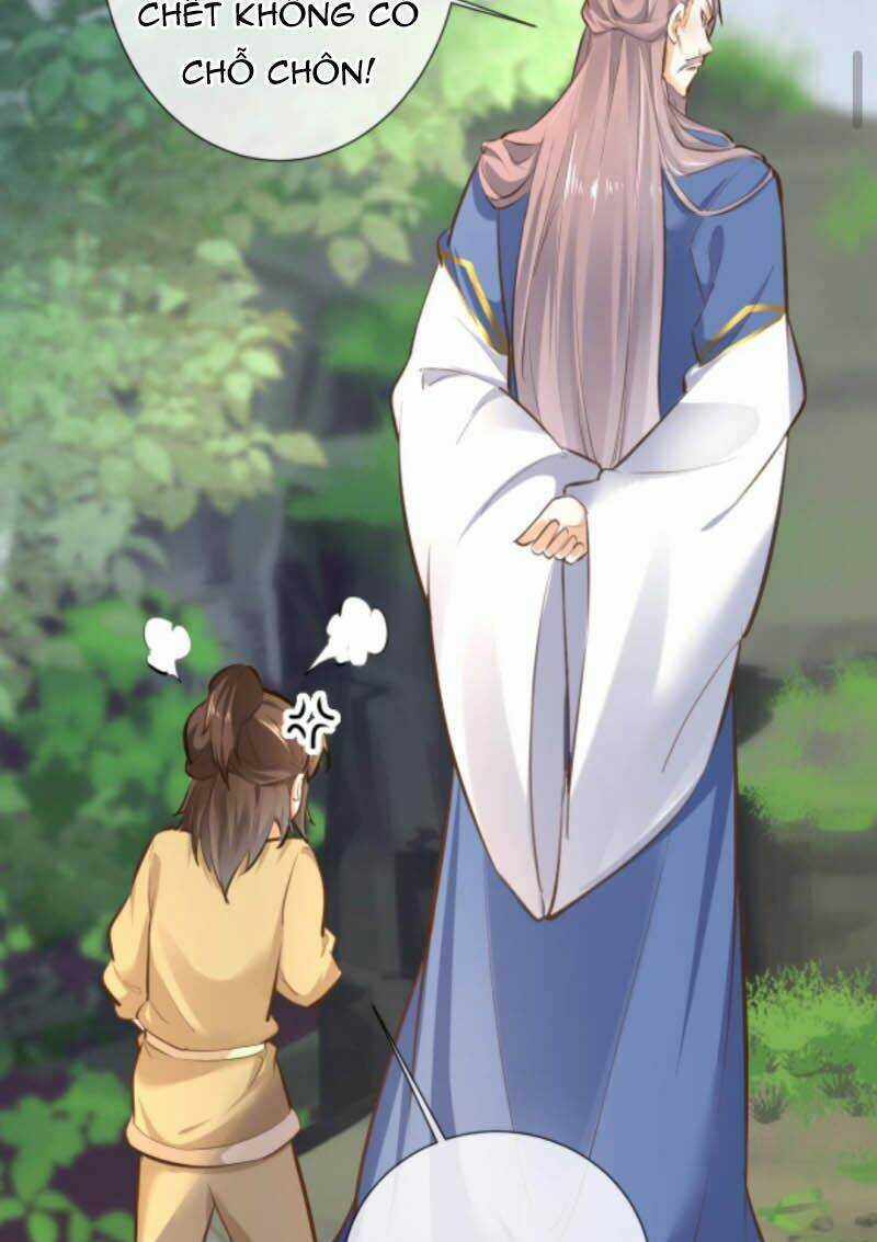 Sau Khi Không Ngừng Tìm Đường Chết, Ta Trở Thành Đế Tôn Vạn Người Mê Chapter 24 trang 14