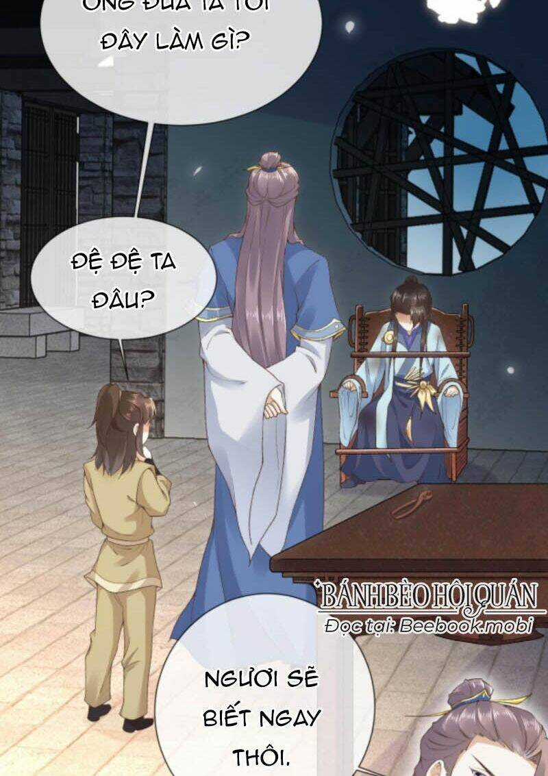 Sau Khi Không Ngừng Tìm Đường Chết, Ta Trở Thành Đế Tôn Vạn Người Mê Chapter 25 trang 5