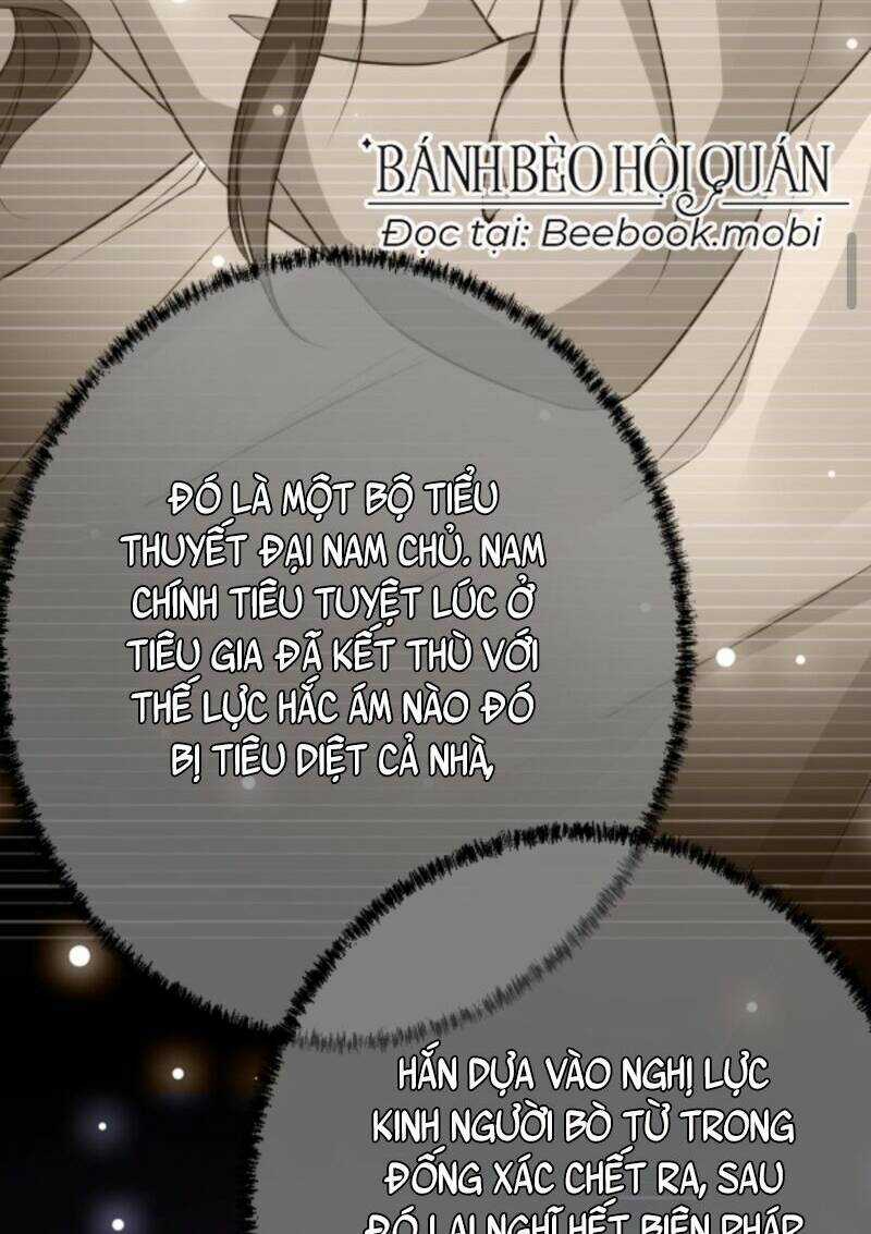 Sau Khi Không Ngừng Tìm Đường Chết, Ta Trở Thành Đế Tôn Vạn Người Mê Chapter 6 trang 12