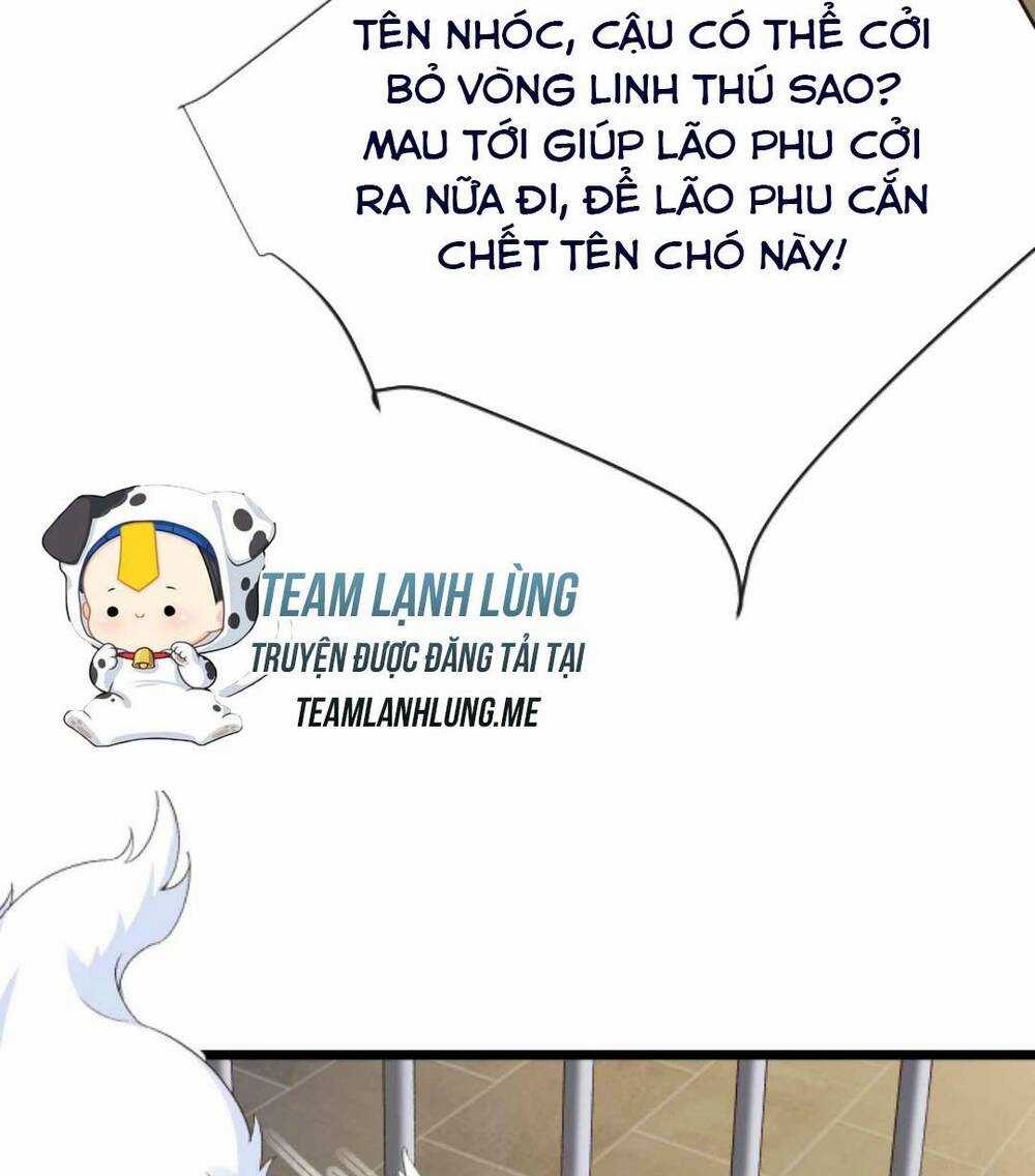 Sau Khi Không Ngừng Tìm Đường Chết, Ta Trở Thành Đế Tôn Vạn Người Mê Chapter 76 trang 11