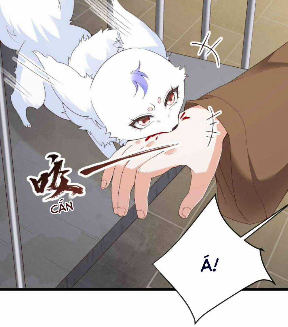 Sau Khi Không Ngừng Tìm Đường Chết, Ta Trở Thành Đế Tôn Vạn Người Mê Chapter 76 trang 12