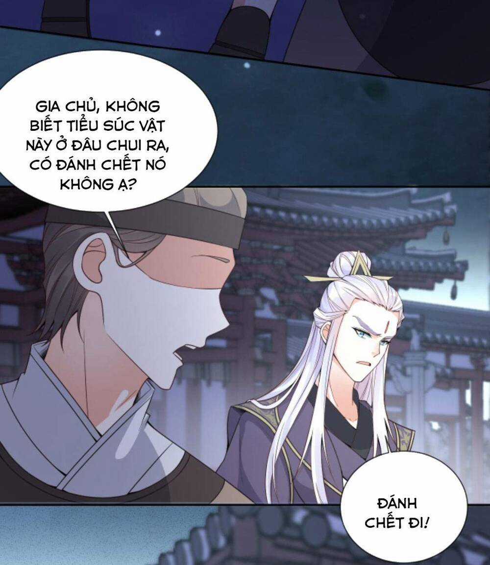 Sau Khi Không Ngừng Tìm Đường Chết, Ta Trở Thành Đế Tôn Vạn Người Mê Chapter 82 trang 12