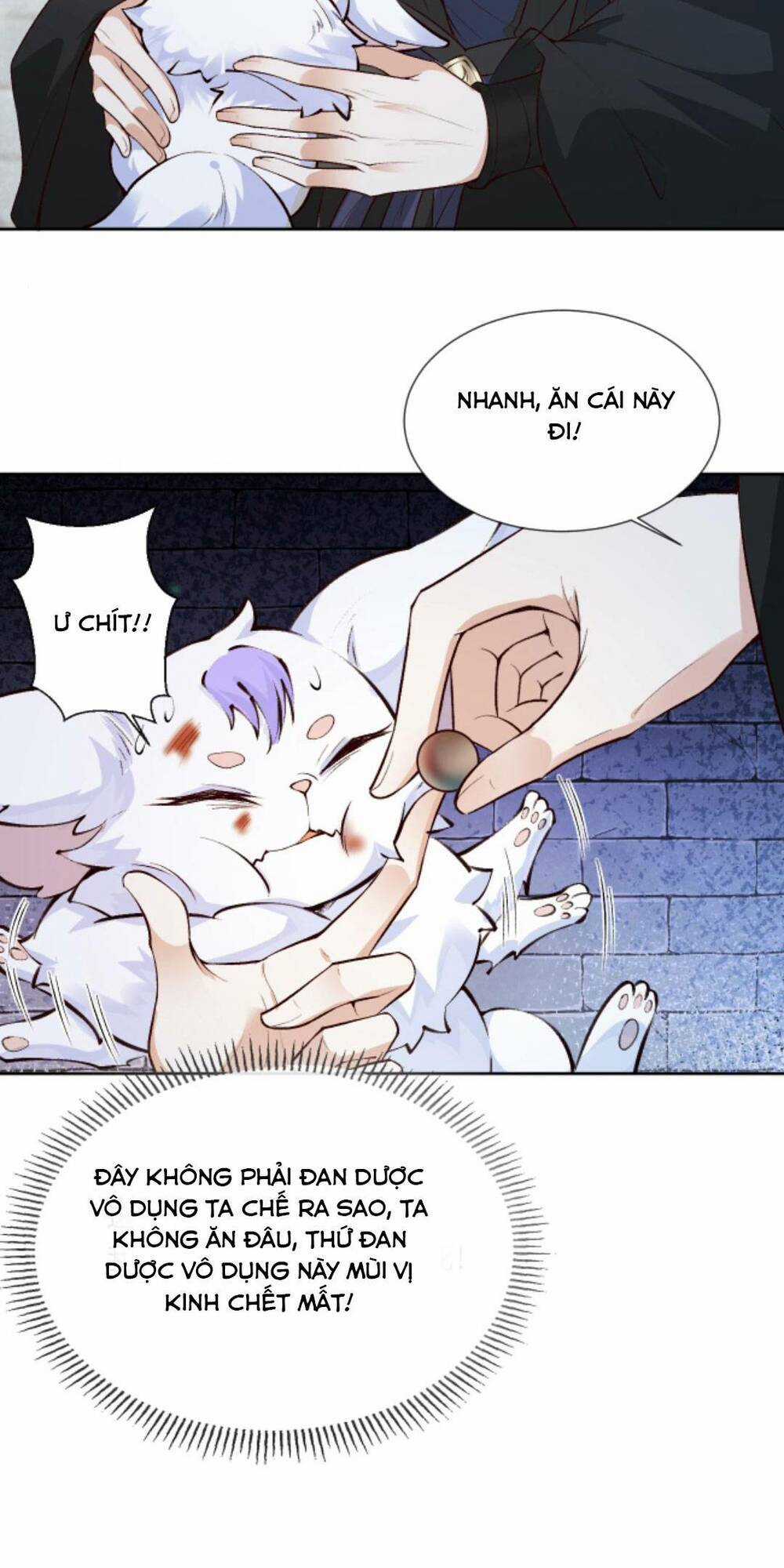 Sau Khi Không Ngừng Tìm Đường Chết, Ta Trở Thành Đế Tôn Vạn Người Mê Chapter 92 trang 10