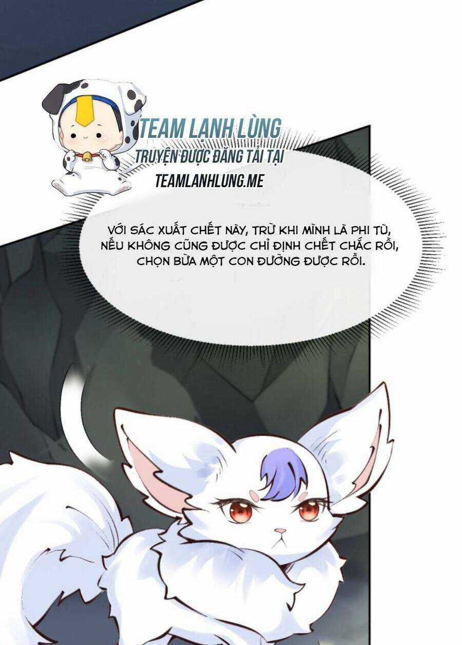 Sau Khi Không Ngừng Tìm Đường Chết, Ta Trở Thành Đế Tôn Vạn Người Mê Chapter 94 trang 19