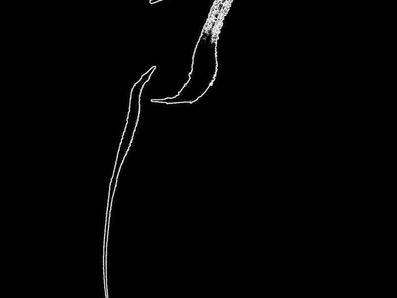 Sau Khi Mở Mắt, Đệ Tử Của Ta Thành Nữ Đế Đại Ma Đầu Chapter 36 trang 63