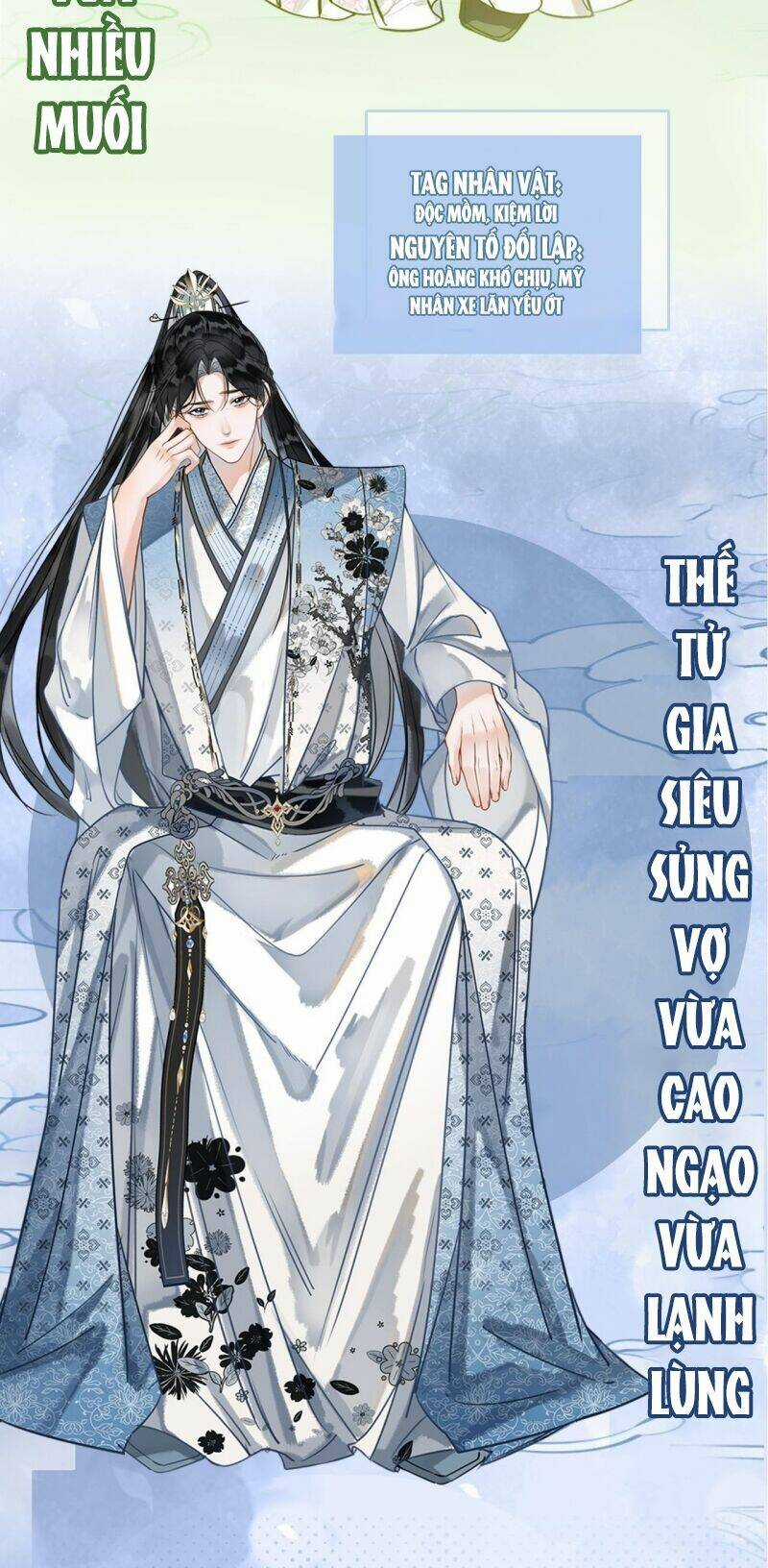 Sau Khi Nàng Bị Đánh Chết, Các Anh Trai Đều Hối Hận! Chapter 0 trang 13