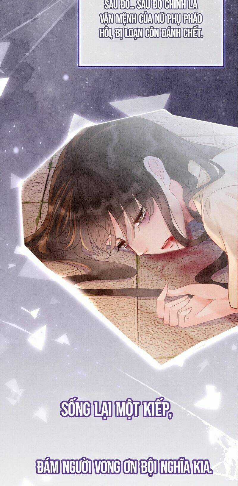 Sau Khi Nàng Bị Đánh Chết, Các Anh Trai Đều Hối Hận! Chapter 0 trang 5