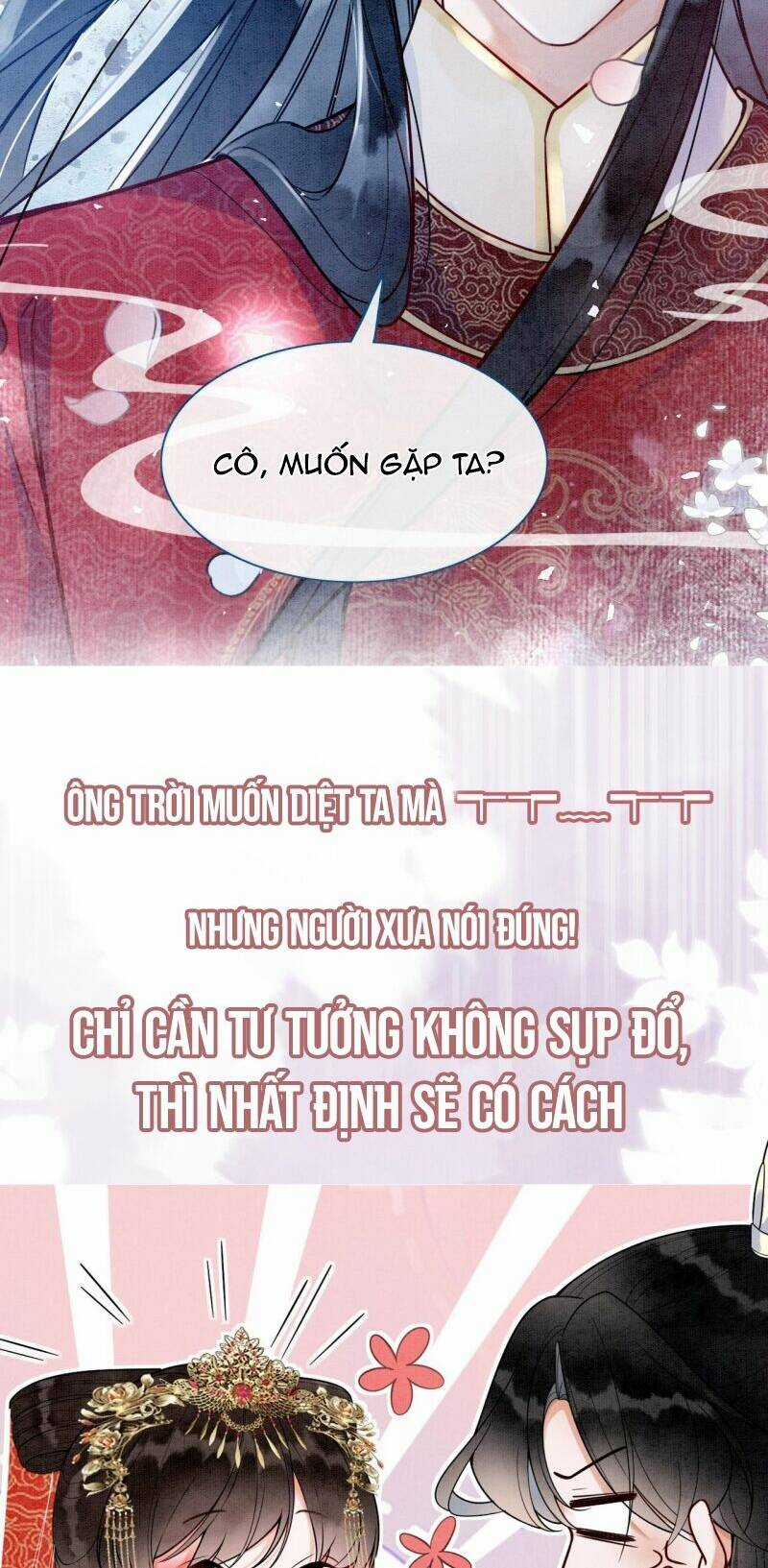 Sau Khi Nàng Bị Đánh Chết, Các Anh Trai Đều Hối Hận! Chapter 0 trang 8