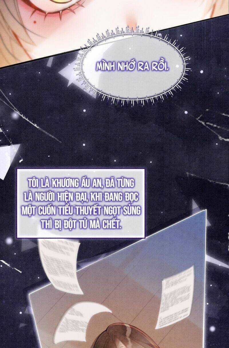 Sau Khi Nàng Bị Đánh Chết, Các Anh Trai Đều Hối Hận! Chapter 1 trang 11