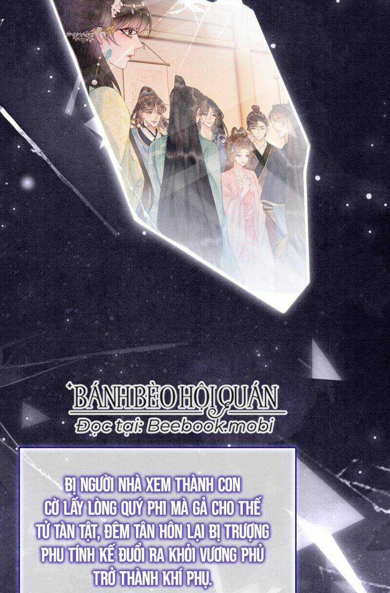 Sau Khi Nàng Bị Đánh Chết, Các Anh Trai Đều Hối Hận! Chapter 1 trang 14