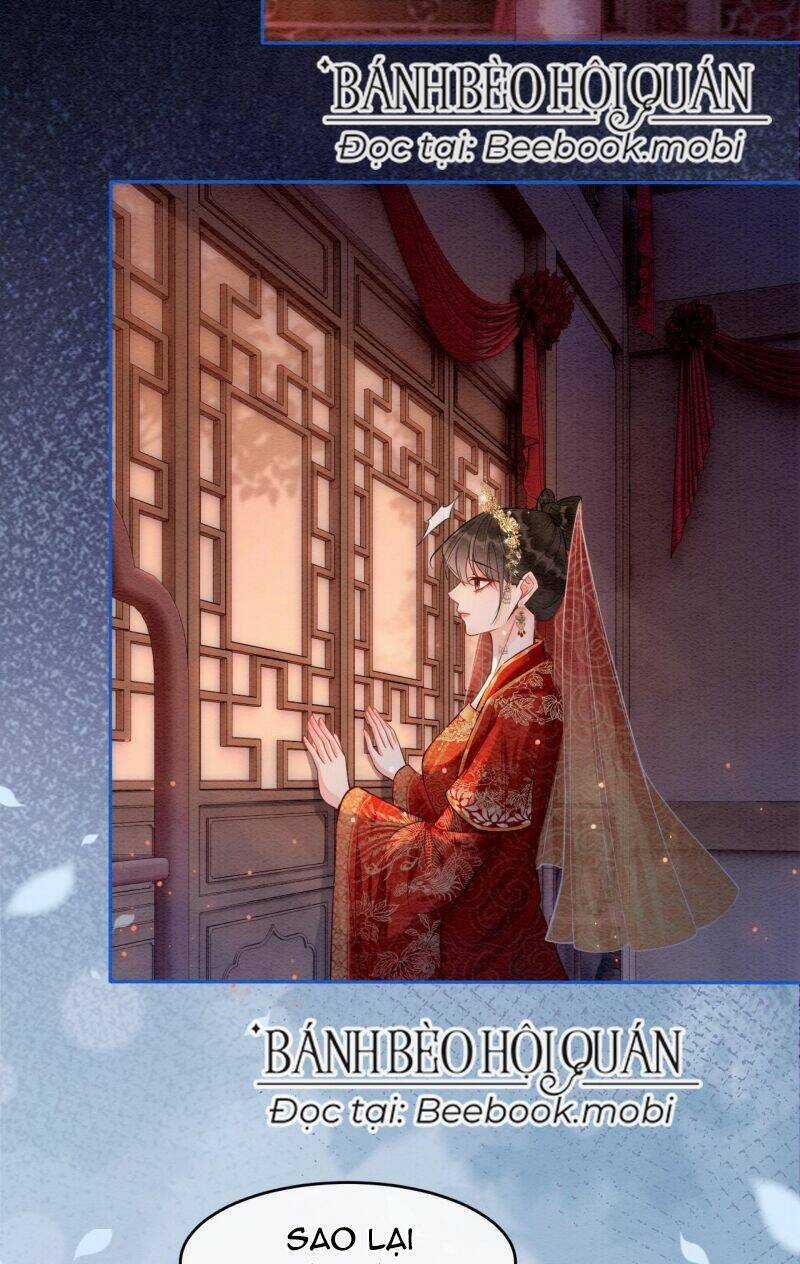 Sau Khi Nàng Bị Đánh Chết, Các Anh Trai Đều Hối Hận! Chapter 1 trang 23