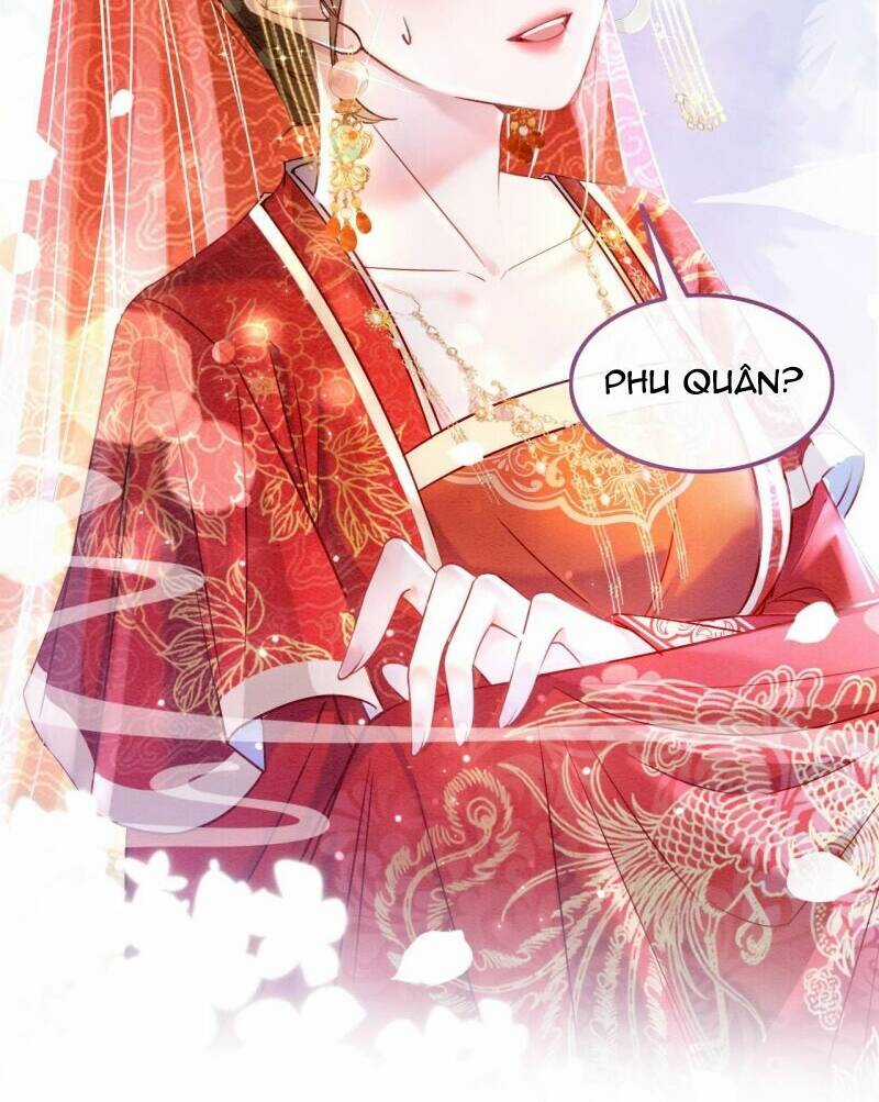 Sau Khi Nàng Bị Đánh Chết, Các Anh Trai Đều Hối Hận! Chapter 1 trang 48