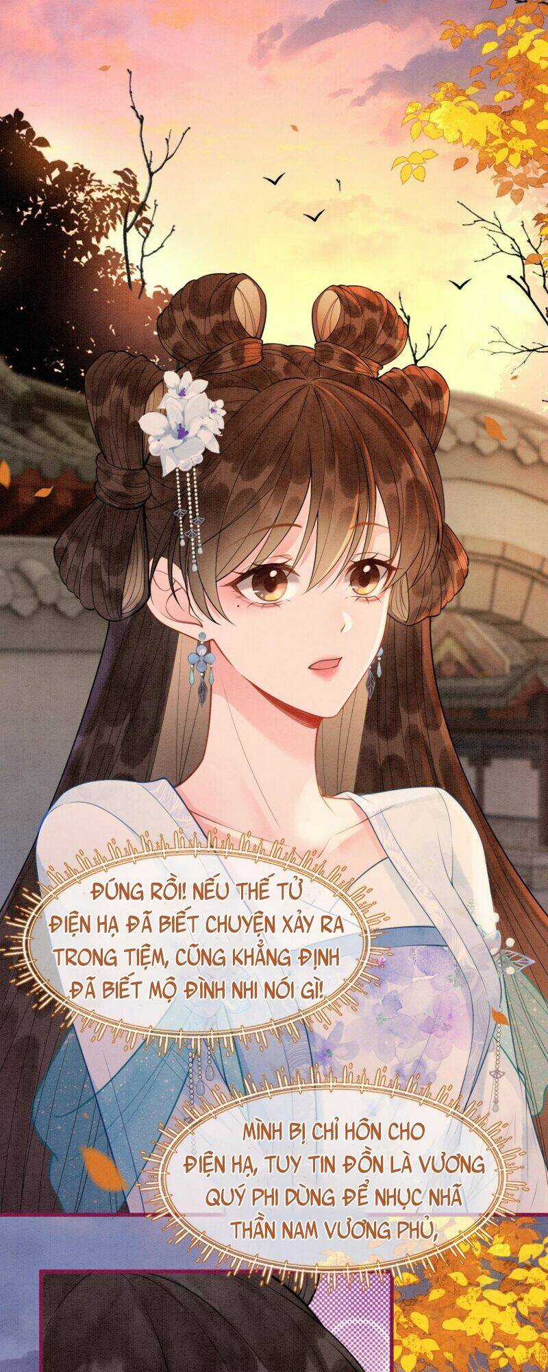 Sau Khi Nàng Bị Đánh Chết, Các Anh Trai Đều Hối Hận! Chapter 11 trang 16