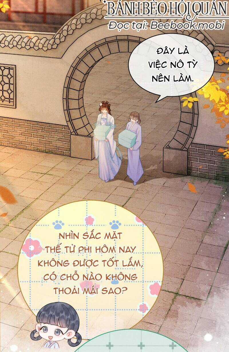 Sau Khi Nàng Bị Đánh Chết, Các Anh Trai Đều Hối Hận! Chapter 11 trang 3