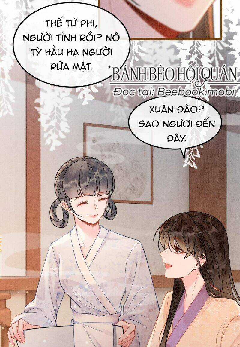 Sau Khi Nàng Bị Đánh Chết, Các Anh Trai Đều Hối Hận! Chapter 11 trang 35