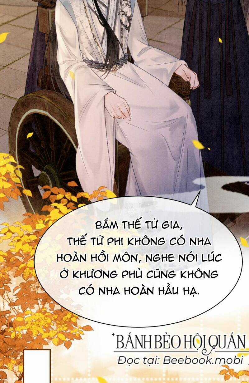 Sau Khi Nàng Bị Đánh Chết, Các Anh Trai Đều Hối Hận! Chapter 11 trang 6