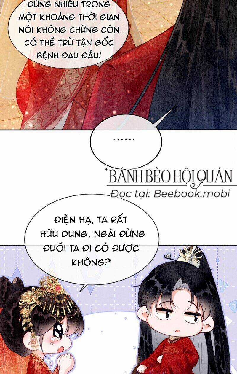 Sau Khi Nàng Bị Đánh Chết, Các Anh Trai Đều Hối Hận! Chapter 2 trang 20