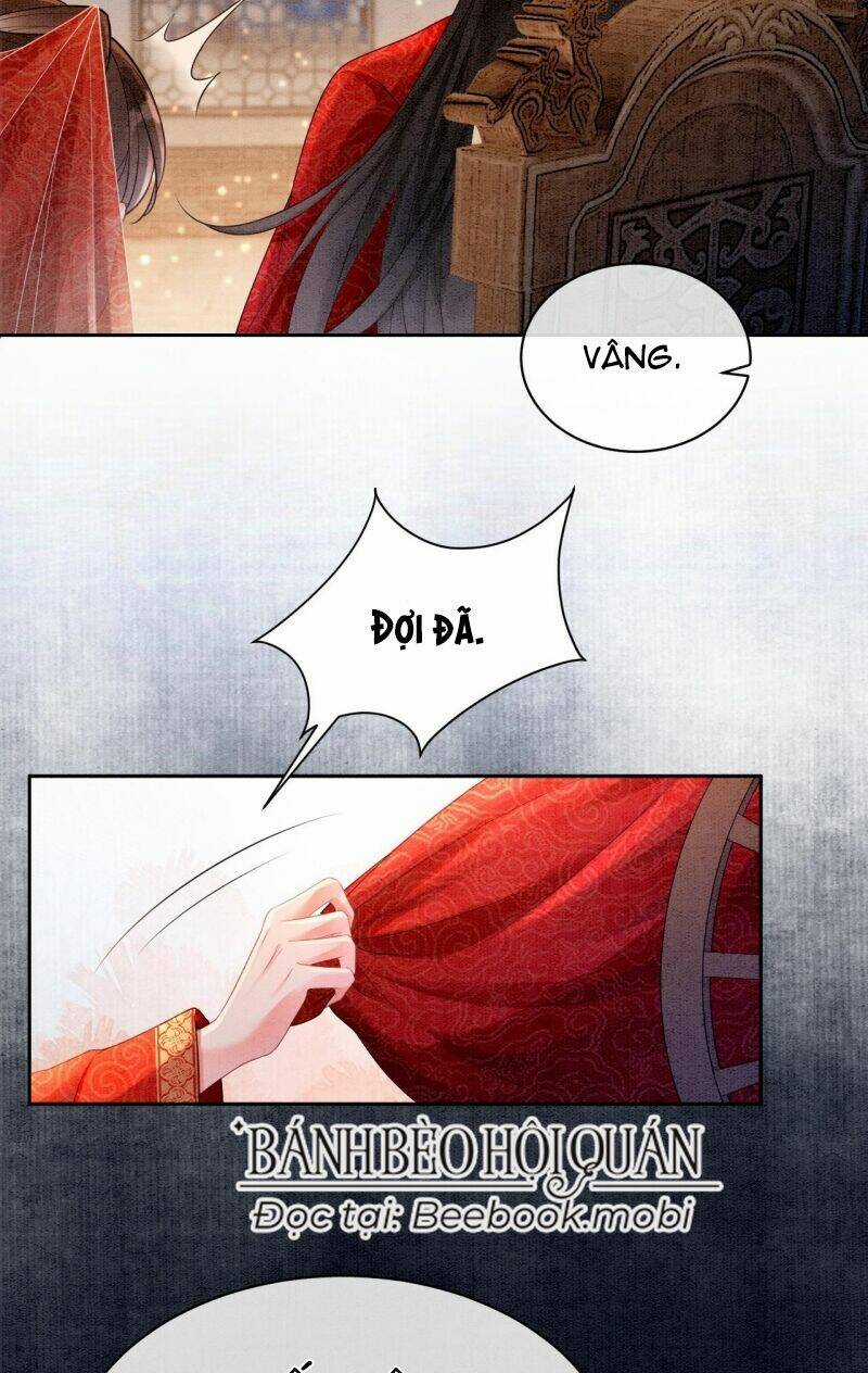 Sau Khi Nàng Bị Đánh Chết, Các Anh Trai Đều Hối Hận! Chapter 2 trang 5