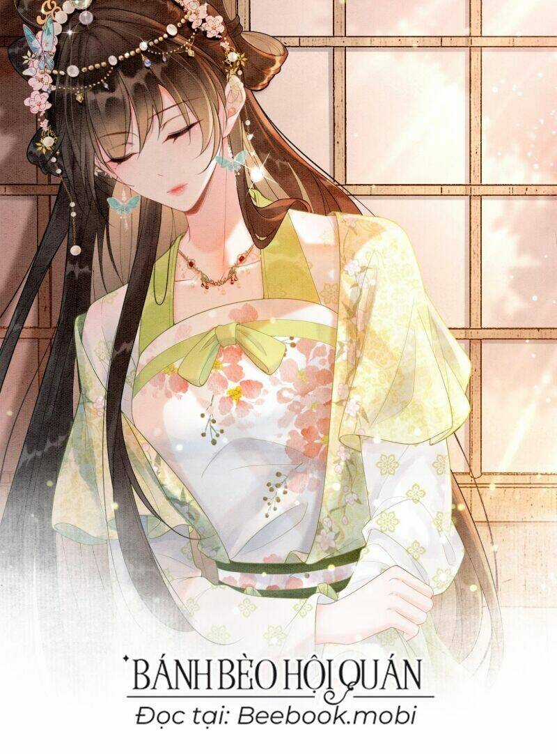 Sau Khi Nàng Bị Đánh Chết, Các Anh Trai Đều Hối Hận! Chapter 3 trang 11