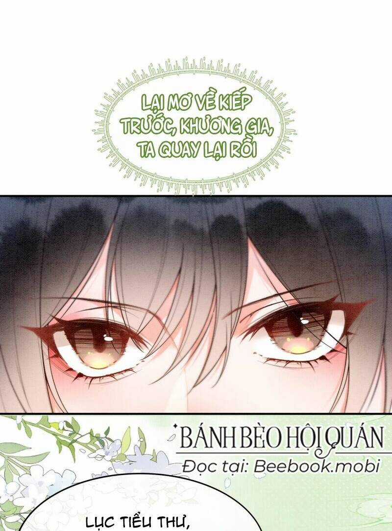 Sau Khi Nàng Bị Đánh Chết, Các Anh Trai Đều Hối Hận! Chapter 3 trang 12