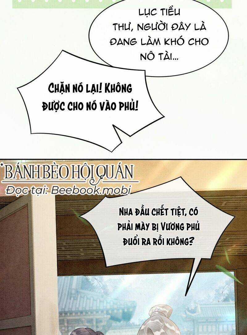 Sau Khi Nàng Bị Đánh Chết, Các Anh Trai Đều Hối Hận! Chapter 3 trang 14