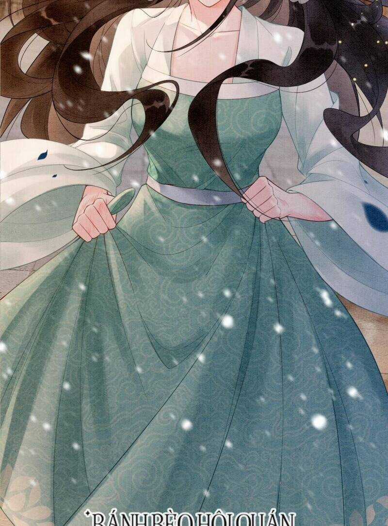 Sau Khi Nàng Bị Đánh Chết, Các Anh Trai Đều Hối Hận! Chapter 3 trang 3