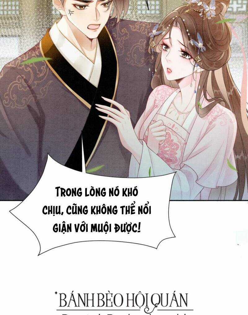 Sau Khi Nàng Bị Đánh Chết, Các Anh Trai Đều Hối Hận! Chapter 3 trang 48