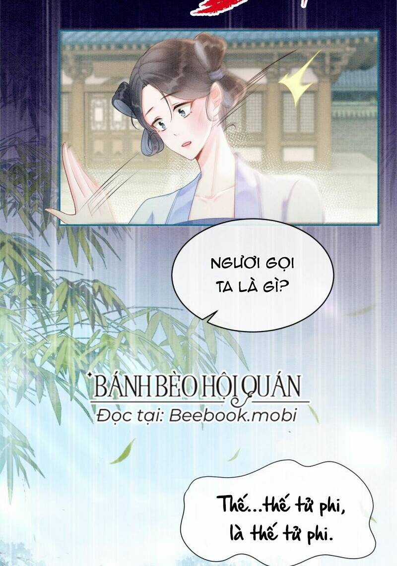 Sau Khi Nàng Bị Đánh Chết, Các Anh Trai Đều Hối Hận! Chapter 4 trang 12