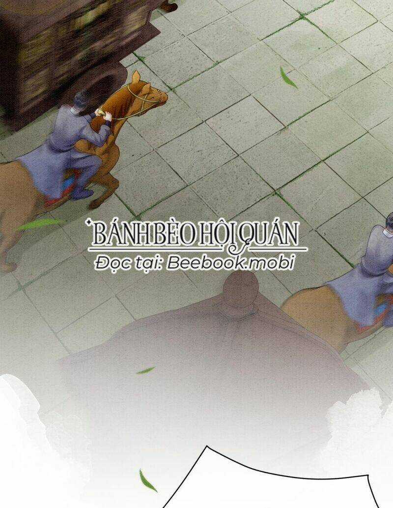 Sau Khi Nàng Bị Đánh Chết, Các Anh Trai Đều Hối Hận! Chapter 5 trang 23