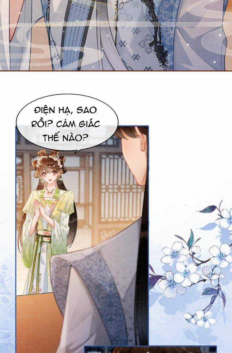 Sau Khi Nàng Bị Đánh Chết, Các Anh Trai Đều Hối Hận! Chapter 5 trang 8