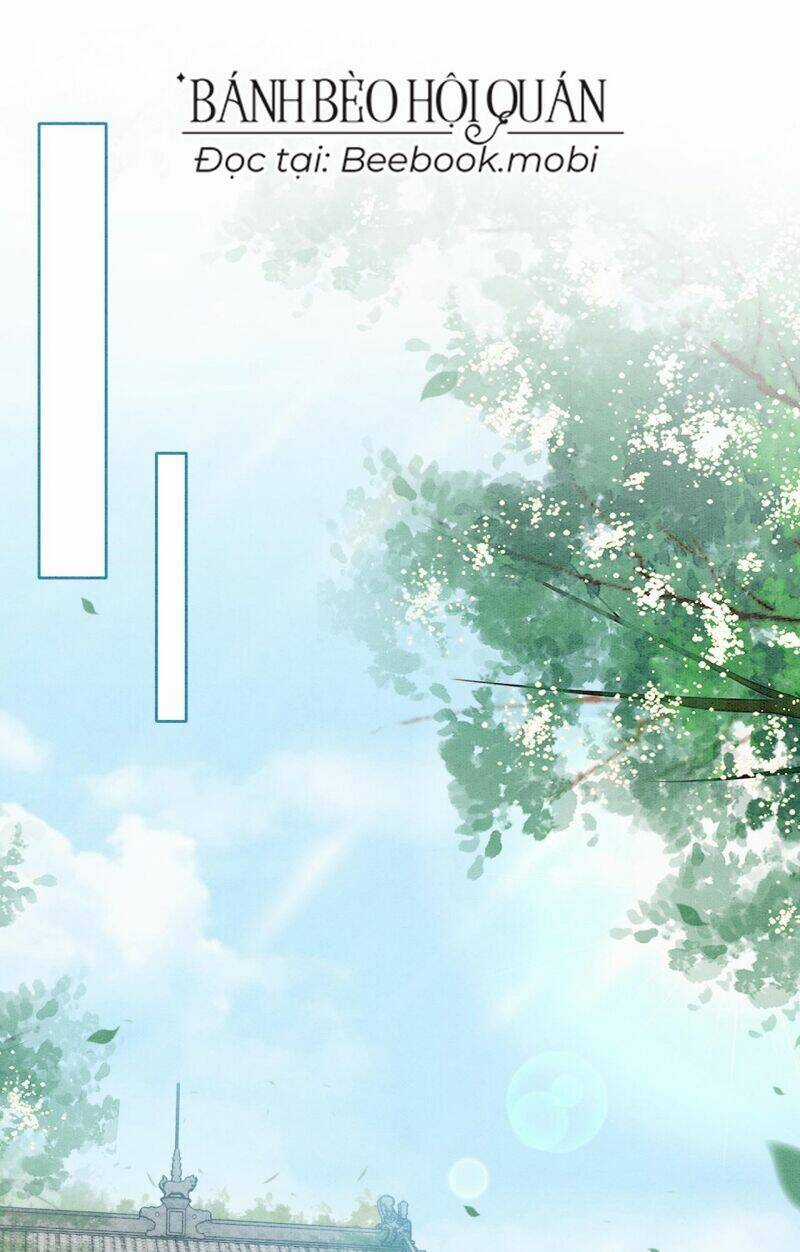 Sau Khi Nàng Bị Đánh Chết, Các Anh Trai Đều Hối Hận! Chapter 6 trang 14