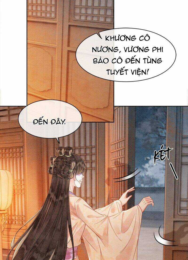 Sau Khi Nàng Bị Đánh Chết, Các Anh Trai Đều Hối Hận! Chapter 7 trang 5