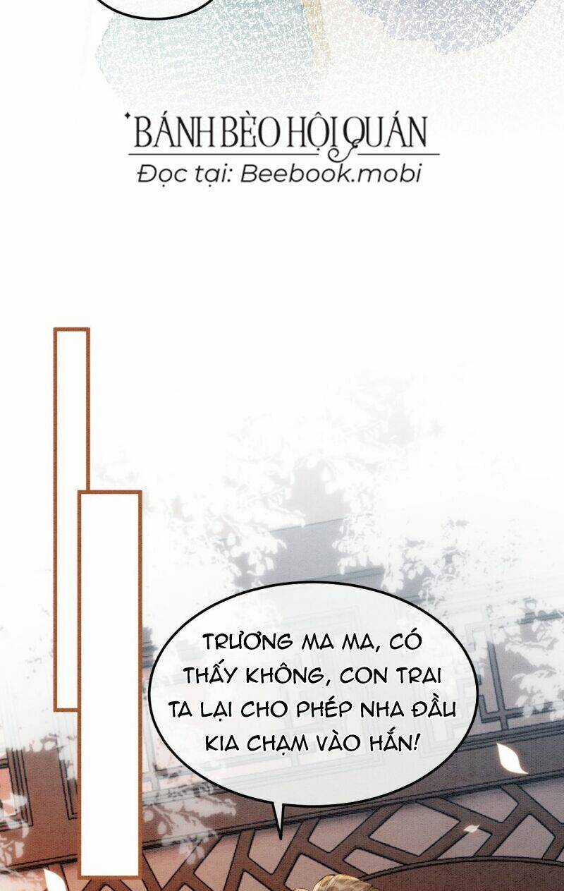 Sau Khi Nàng Bị Đánh Chết, Các Anh Trai Đều Hối Hận! Chapter 8 trang 23