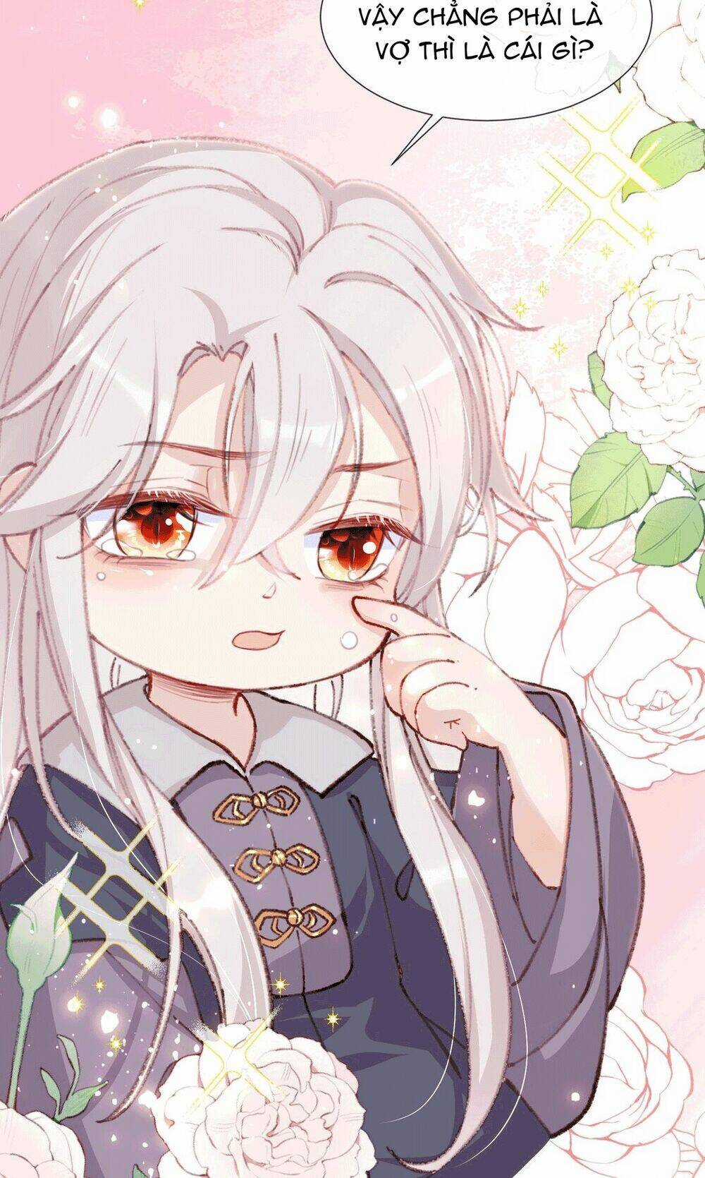 Sau Khi Nhặt Được Trứng Rồng, Ta Quyết Định Nuôi Hắn Trở Nên Xấu Xa Chapter 2 trang 40