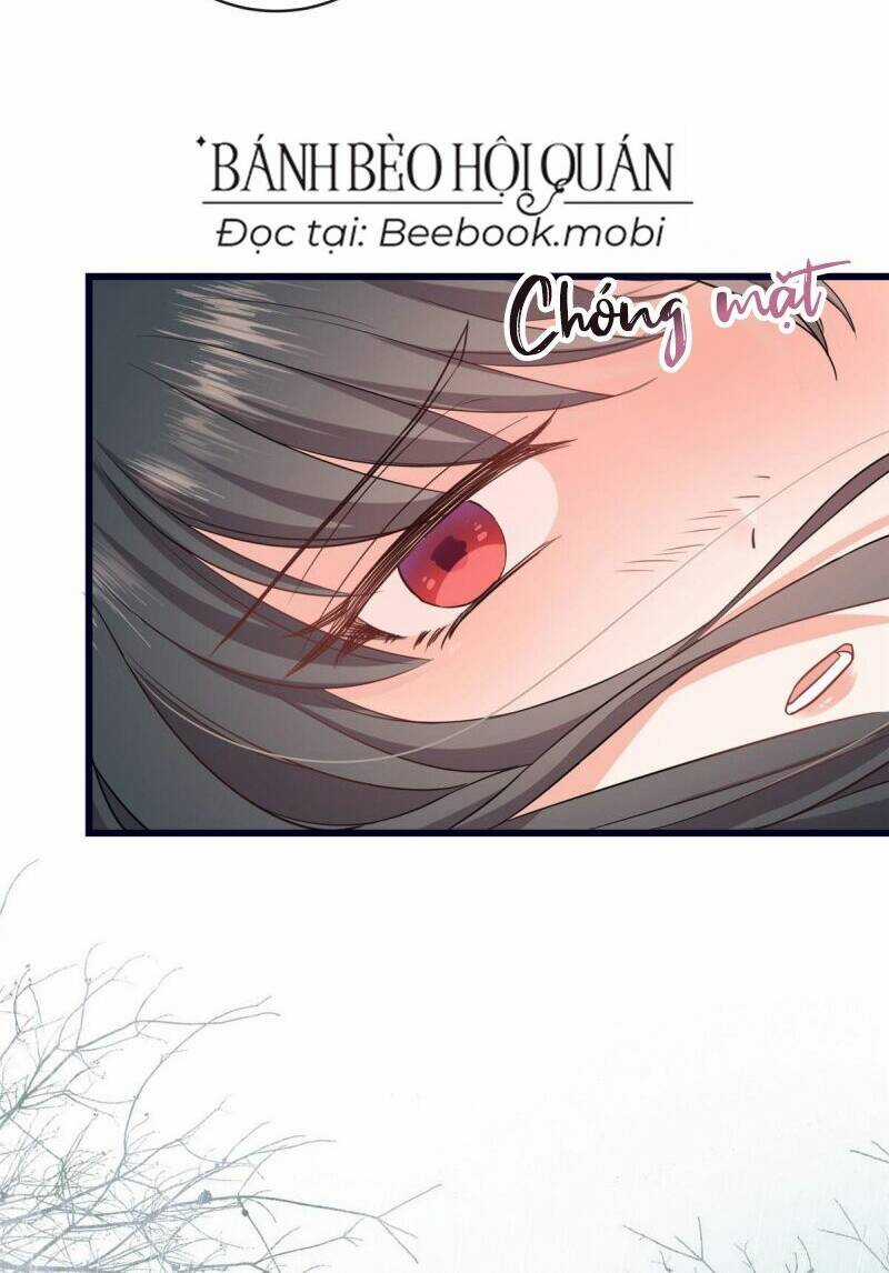 sau khi sống lại, ta trở thành kiều thê của quyền thần. Chapter 2 trang 24