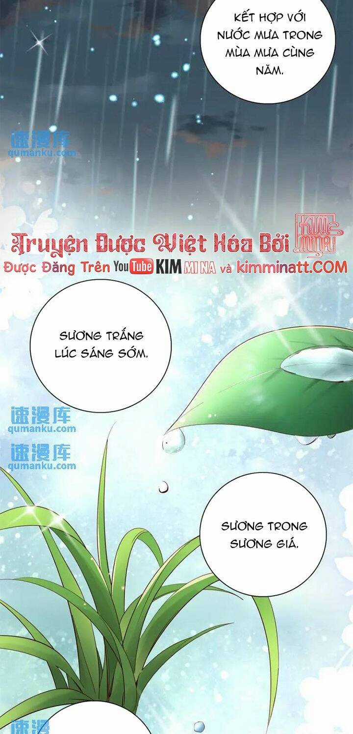 sau khi sống lại, ta trở thành kiều thê của quyền thần. Chapter 40 trang 13