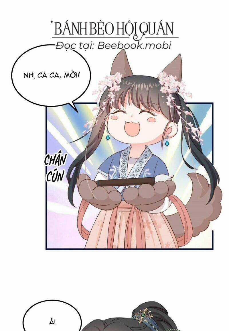 sau khi sống lại, ta trở thành kiều thê của quyền thần. Chapter 6 trang 36