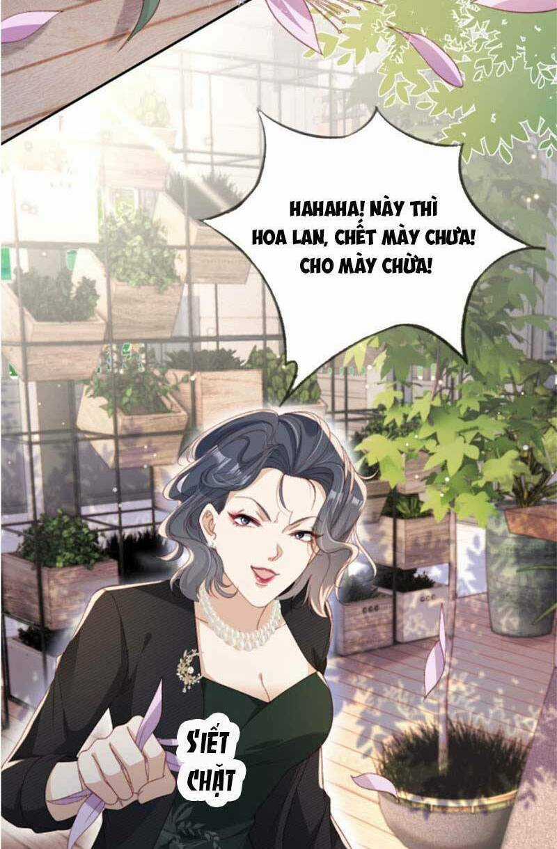 Sau Khi Trọng Sinh, Tôi Gả Cho Đại Lão Tàn Tật Chapter 24 trang 1