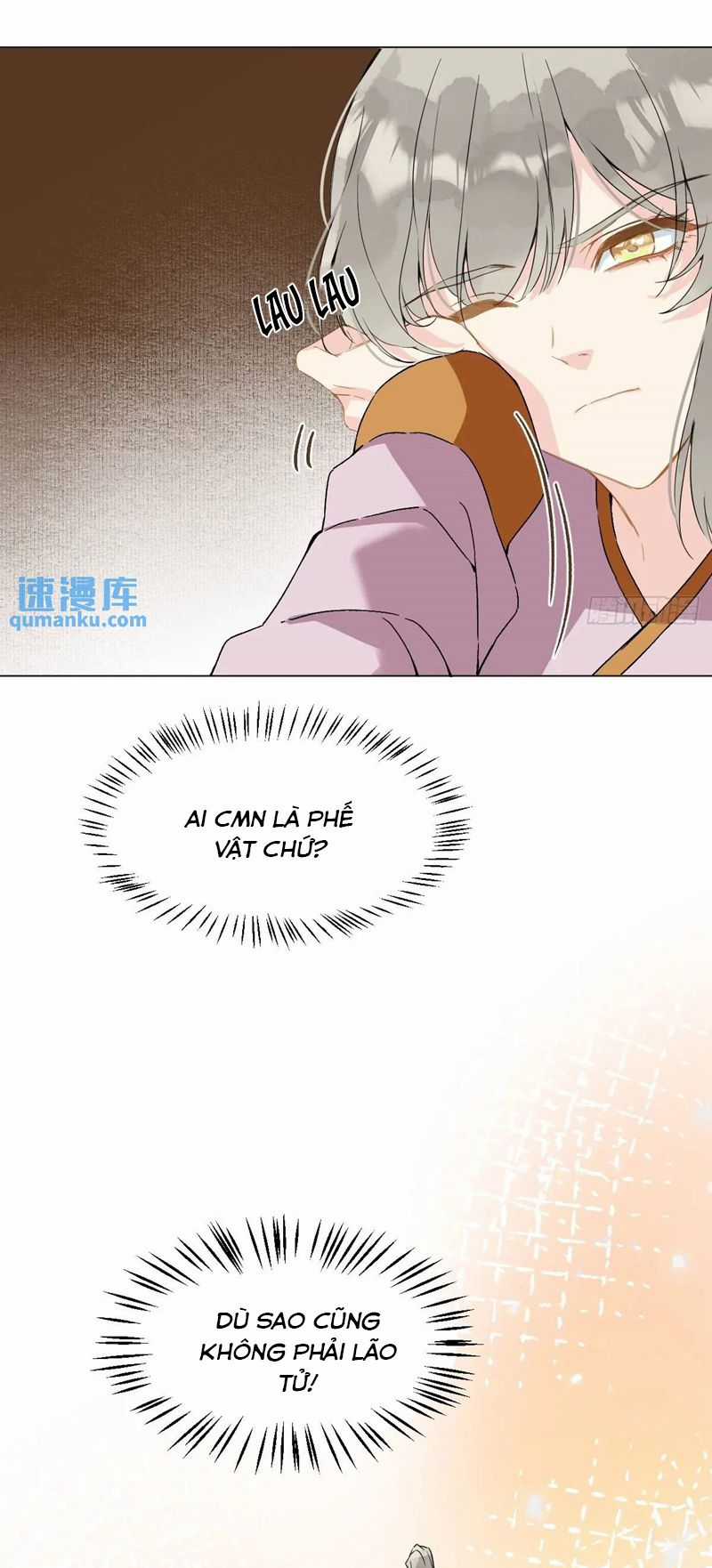 Sau Khi Trùng Sinh Thuần Phục Ác Đồ Hắc Liên Hoa Chapter 46 trang 13