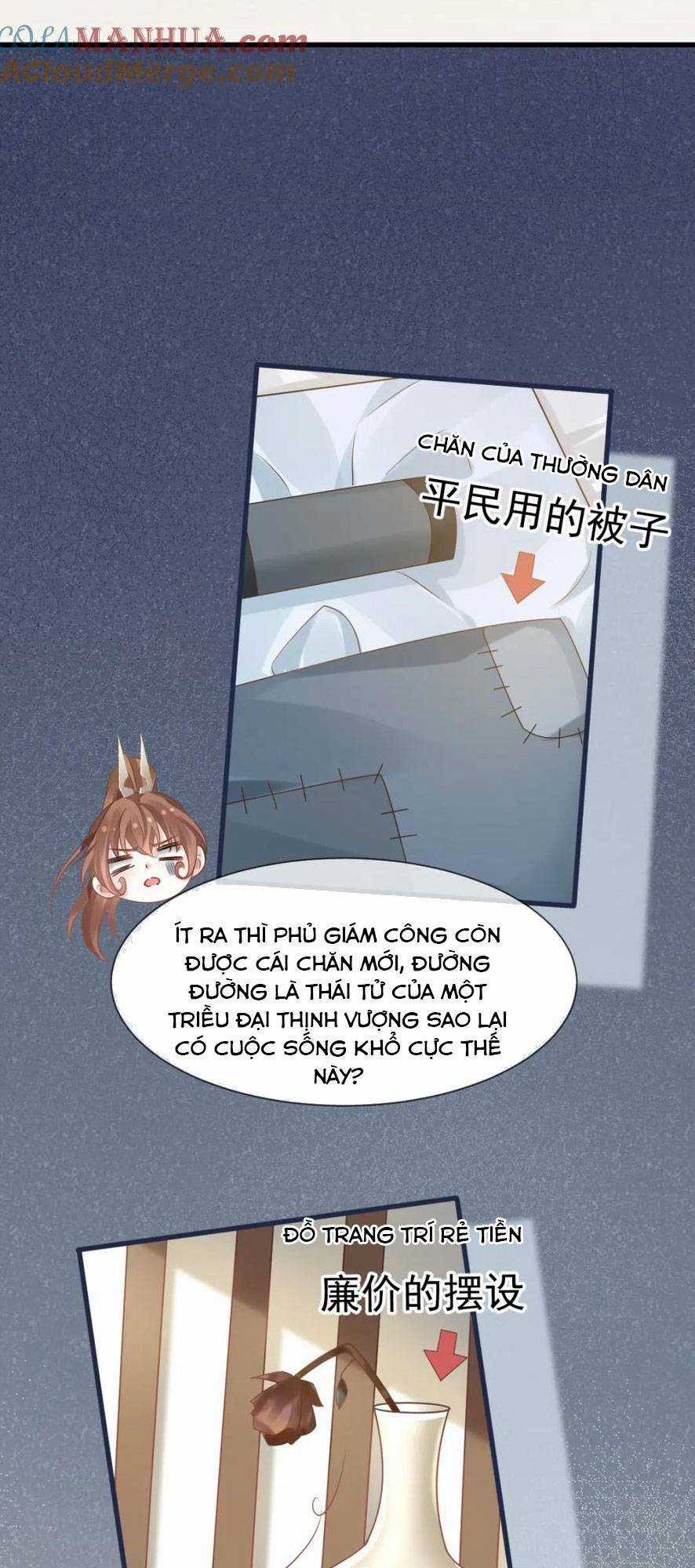 Sau Khi Xuyên Sách, Ta Bị Ép Trở Thành Simp Chapter 15 trang 19