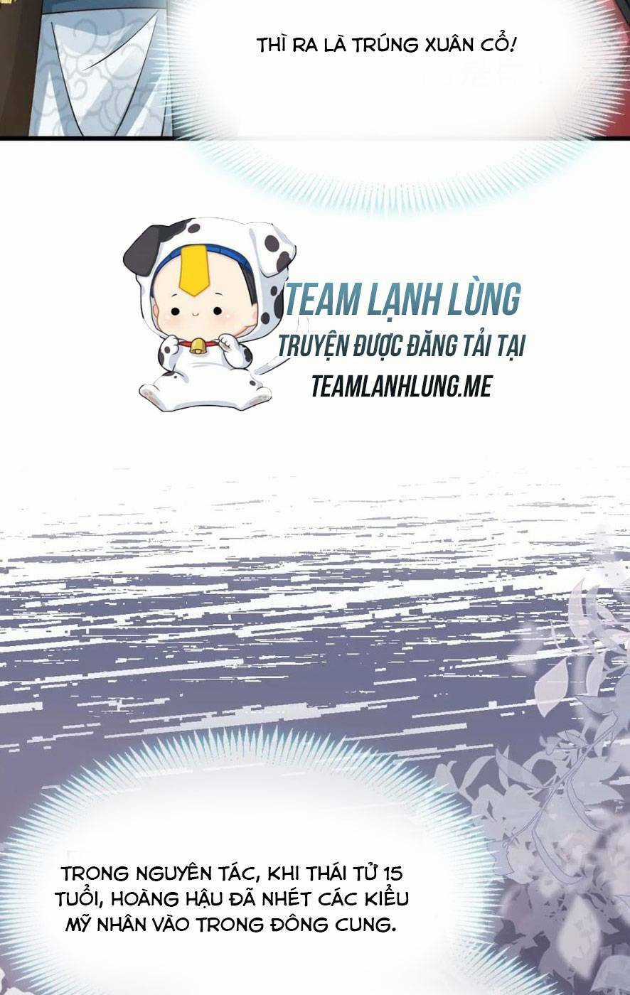 Sau Khi Xuyên Sách, Ta Bị Ép Trở Thành Simp Chapter 15 trang 31