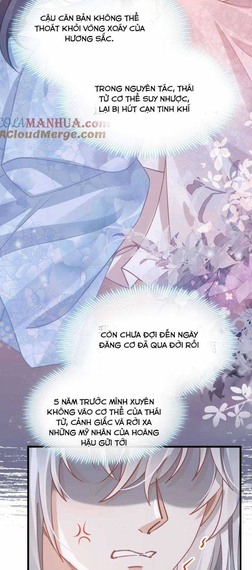 Sau Khi Xuyên Sách, Ta Bị Ép Trở Thành Simp Chapter 15 trang 33