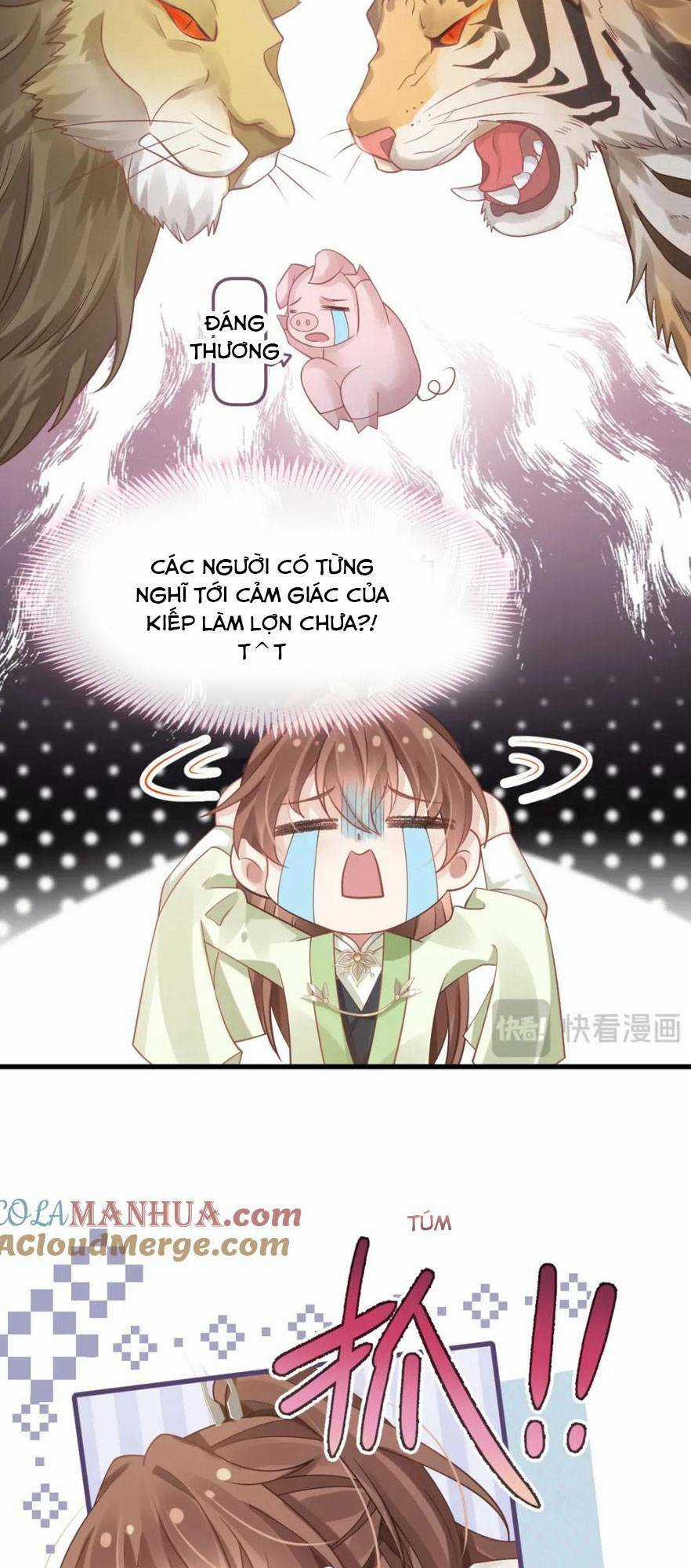 Sau Khi Xuyên Sách, Ta Bị Ép Trở Thành Simp Chapter 15 trang 8