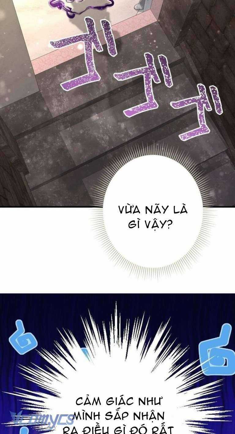 Sau Này Họ Sẽ Sinh Ra Tôi Chapter 10 trang 17