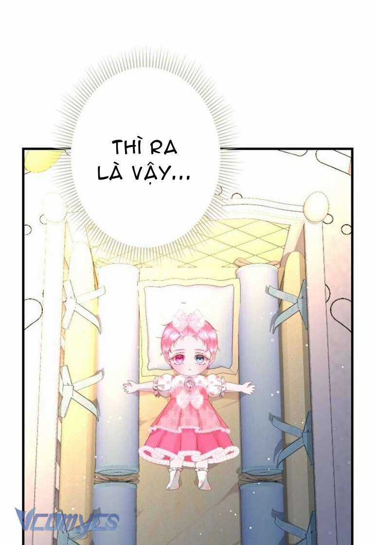 Sau Này Họ Sẽ Sinh Ra Tôi Chapter 7 trang 25