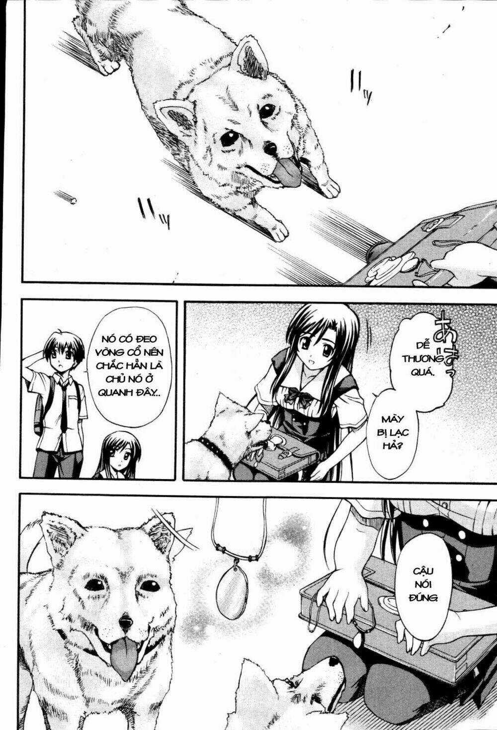 School Days Chapter 8 trang 12