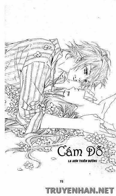 Seduction More Beautiful Than Love Chapter 12 trang 2