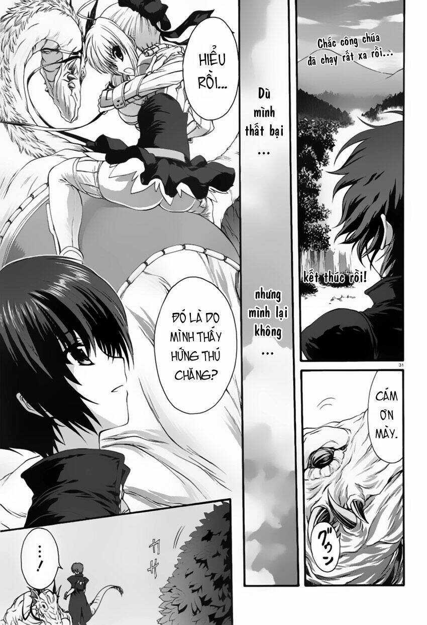 Seikoku No Dragonar Chapter 1 trang 30